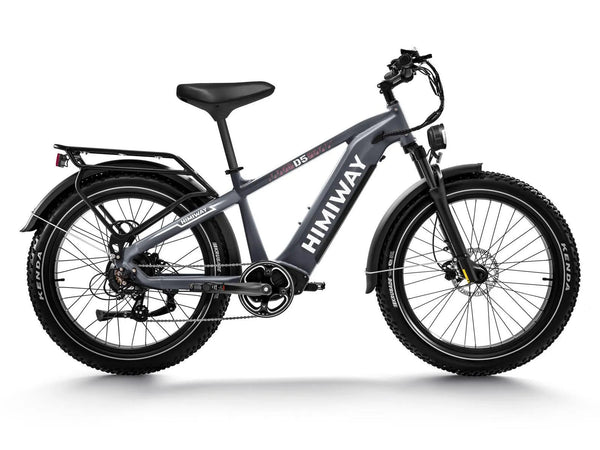 D5(Zebra) / Premium All-terrain Electric Fat Bike