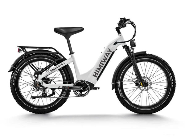 D5 ST(Zebra ST) / Premium All-terrain Electric Fat Bike